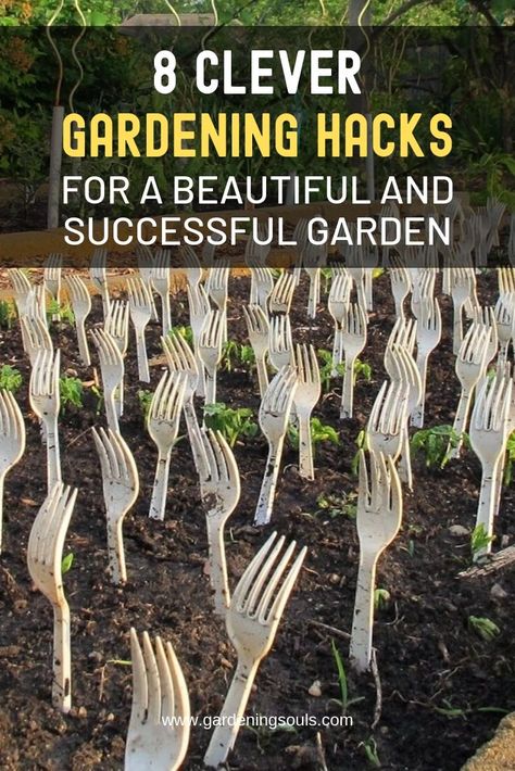 8 Clever Gardening Hacks For a Beautiful and Successful Garden Garden For Dummies, Garden Easy Ideas, Limited Space Garden Ideas, Diy Garden Vegetable, Best Gardening Tips, Clever Garden Ideas, Cheap Vegetable Garden Ideas, Garden Design Hacks, Outdoor Garden Layout