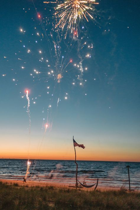 Black Iron Chandelier, July Wallpaper, 4th Of July Wallpaper, Fireworks Photo, Forth Of July, Birds Photography, Funny 4th Of July, Two Birds, Happy 4 Of July