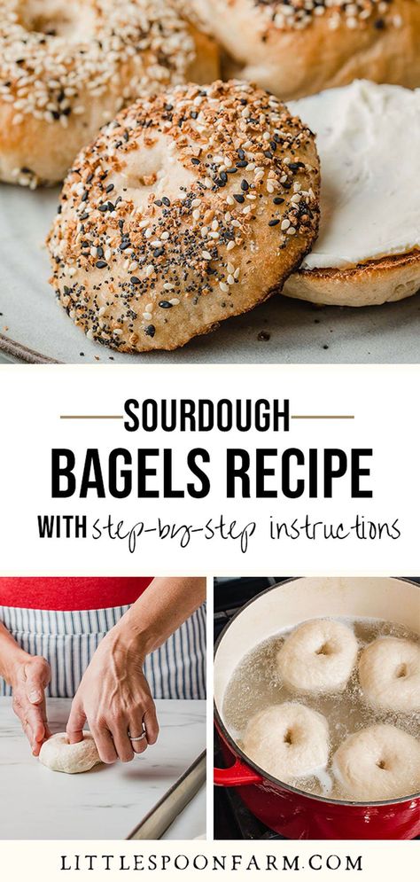 Bread Recipe With Sourdough Starter, Simple Sour Dough Bread Recipe, Cultured Guru Sourdough, Sourdough Bagels Recipes, Soughdough Bread Recipes, How To Make Bread Sourdough, Sourdough Bagels Recipe Discard, Sourdough Starter Bagel Recipe, Discard Sourdough Bagels Recipes