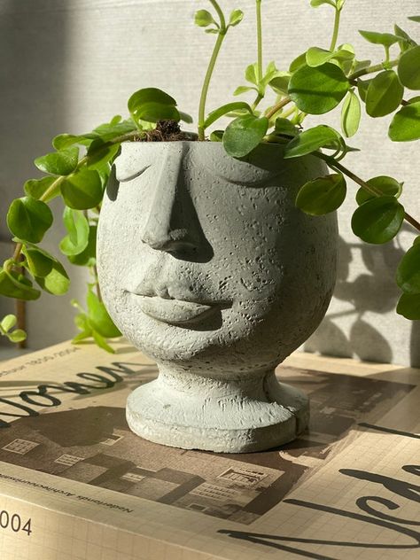 Cute face planter Pots With Faces, Pot With Face, Face Pottery, Concrete Product, Face Pots, Concrete Garden Ornaments, Clay Arts, Concrete Products, Diy Air Dry Clay