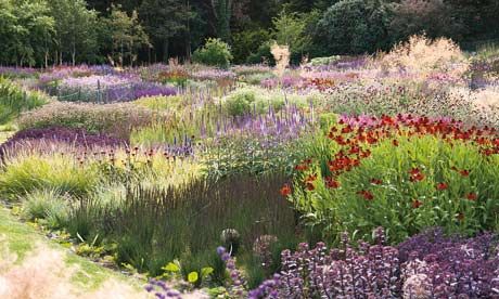 Catch my drift: a garden designed by Piet Oudolf, in western Ireland. Photograph: Piet Oudolf English Landscape Garden, Modern English Country, Dutch Gardens, Piet Oudolf, Prairie Garden, Grasses Garden, English Country Gardens, Family Garden, Have Inspiration