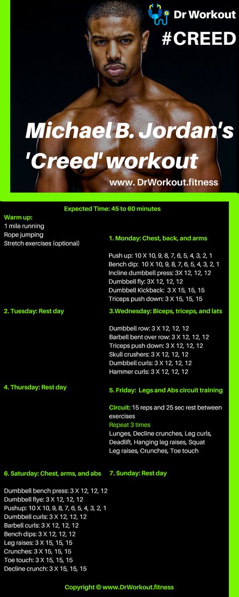 Creed Workout Routine Hormone Workout, Hgh Hormone, Guy Workouts, Creed Workout, Boxer Workout, Fitness Illustration, Routine Workout, Abs Workouts, Trening Sztuk Walki