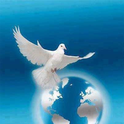 god bless the earth Christian Background Images, Dove Images, Our Father Who Art In Heaven, Dove Pictures, Afrique Art, Birds In The Sky, Christian Pictures, Peace Dove, Jesus Christ Images