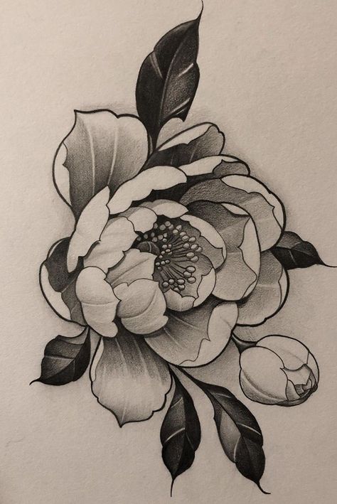 Peony Flower Drawing, Flower Drawing Tattoo, Peony Flower Tattoos, Japanese Flower Tattoo, Flower Tattoo Drawings, Drawing Tattoo, Peonies Tattoo, Floral Tattoo Design, Japanese Tattoo Designs