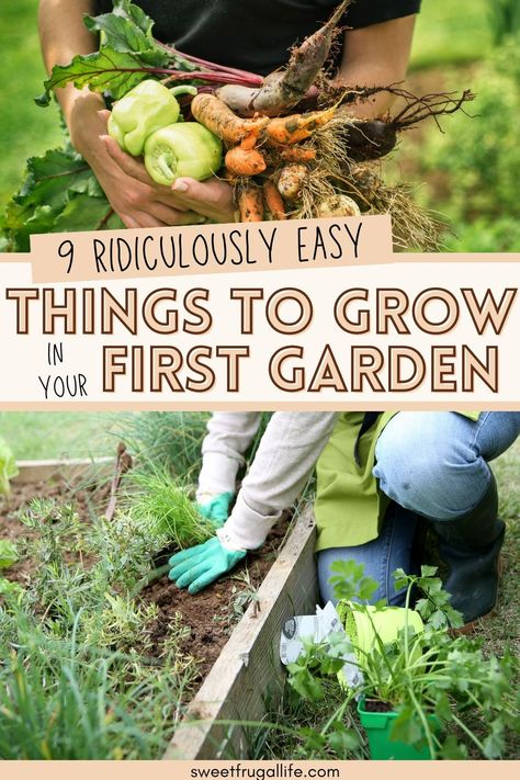 What are the easiest things to grow in the garden. Easy things to grow in the garden. How to start growing your own food. Vegetables that grow really easy. Frugal tips for gardening. How to garden. Tips for beginner gardeners. How to grow your own food. Saving money on groceries with a garden. Easiest Things To Grow In A Garden, Easiest Food To Grow, Diy Food Garden, Easy Veg To Grow Uk, Vegetable Garden List, Fruits To Grow In Your Garden, Growing Own Food, Growing A Garden For Beginners, Making A Garden