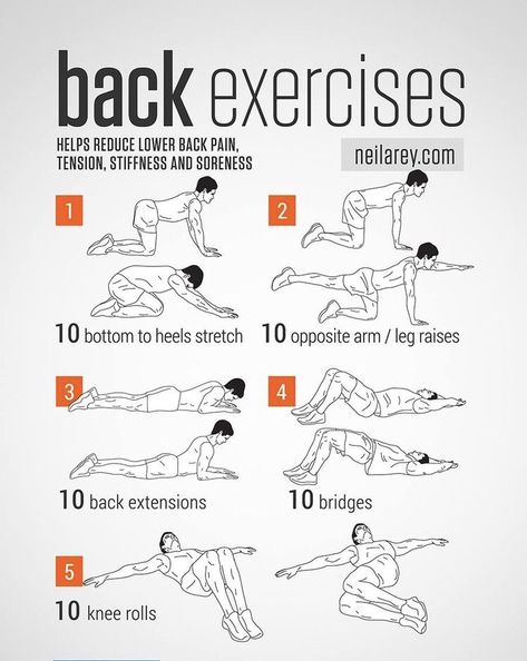 Lordosis Exercises, Workout Morning, Best Abdominal Exercises, Boxe Thai, Fat Burning Workout Routine, Morning Stretches, Workout Routines For Women, Gym Workout Chart, Martial Arts Workout