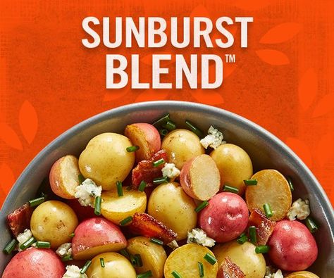 SB Product Button_web BABY POTATOES INFO Sunburst Potatoes, Sunburst Blend Potatoes Recipes, Cook Potatoes, Baby Potatoes, How To Cook Potatoes, The Union, How To Cook, Potato Recipes, Potato