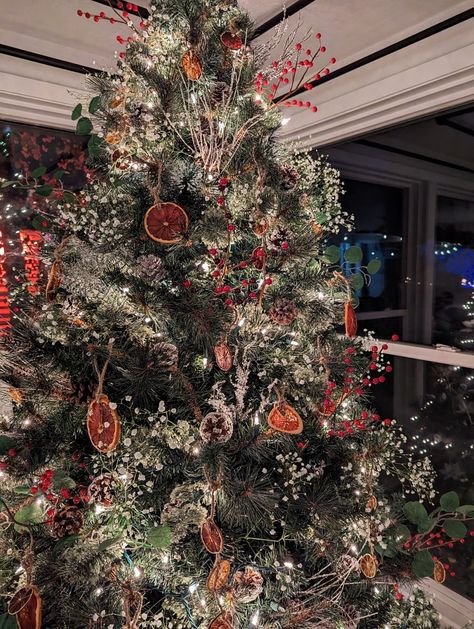 A lightly flocked Christmas tree decorated with dried citrus such as lemons, limes, oranges, and grapefruit, holly berries, white babys-breath flowers, pinecones, and white lights. This Christmas tree has branches, holly berries and eucalyptus poking out from the tree as well. Winter Berry Christmas Tree, Christmas Tree With Pinecones And Berries, Dry Flowers Christmas Tree, Christmas Trees With Baby’s Breath, Fairycore Christmas Tree, Christmas Tree Eucalyptus, Christmas Tree With Babysbreath, Christmas Tree Boho Decoration, Gypsophila Christmas Tree