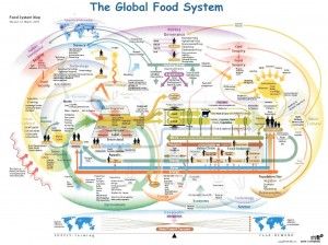 The Global Food System Infographic Map Agriculture Projects, System Map, Infographic Map, Environmental Degradation, Global Food, Food Tech, Sustainable Community, Food Insecurity, Sustainable Agriculture