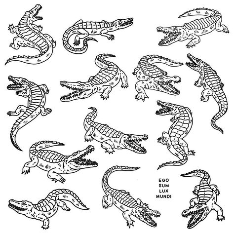 Traditional Tattoo Outline, Alligator Tattoo, Crocodile Tattoo, Tree Tattoo Back, Traditional Tattoo Art, Cute Tattoos For Women, Tattoo Art Drawings, Tattoo Outline, Tree Tattoo