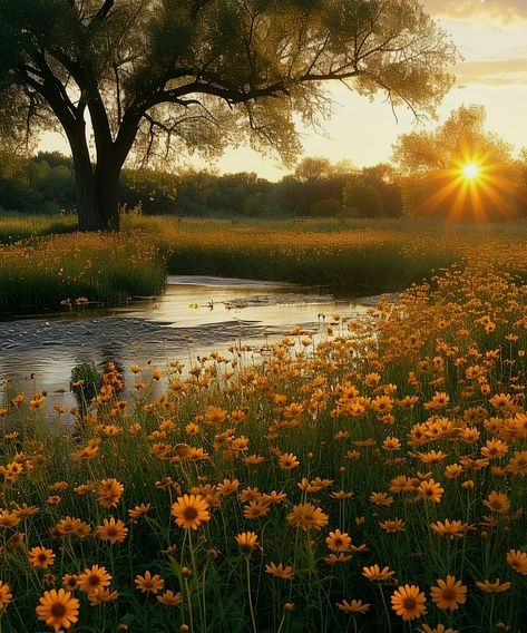 Summer Fields, Fall Afternoon, Mountain Landscape Photography, Peace And Serenity, Landscape Photography Nature, Pretty Landscapes, Nature Drawing, Sunset Landscape, Landscape Pictures