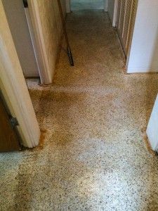 Old Terrazzo Floor, Diy Terrazzo Floor, White Terrazzo Floor, Terrazo Flooring, Brown Terrazzo, Terazzo Floor, Diy Terrazzo, Diy Floor Cleaner, Tile Stained