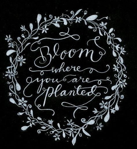 Inverted Commas, Kelsey Rose, Chalkboard Designs, Bloom Where You Are Planted, Chalk It Up, Favorite Sayings, Calligraphy Letters, Chalkboard Signs, Chalkboard Art