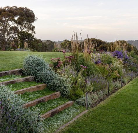 Slope Stairs, Sloped Backyard Landscaping, Sloped Backyard, Tiered Garden, Beautiful Weekend, Garden Drawing, Garden Steps, Sloped Garden, Have Inspiration