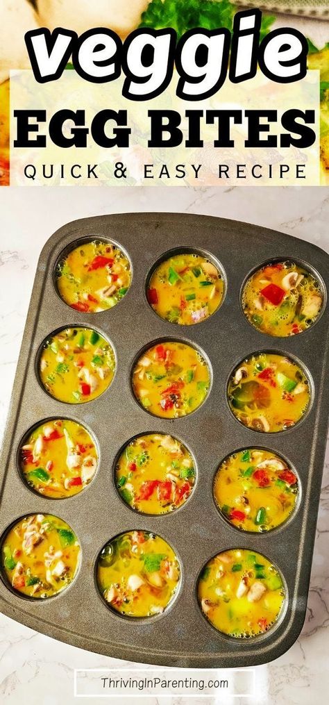 Looking for an easy and healthy breakfast recipe? Try these baked veggie egg bites made in mini muffin tins packed with nutrients that fit your diet! This veggie egg bites muffin tins recipe is perfect for those looking for quick and easy breakfast or even low carb snacks. The best part? You can make a big batch of this homemade veggie egg bites recipe and store in the freezer for later, making it a convenient option for those busy mornings, perfect for busy moms. Easy recipes for busy moms. Healthy Eggs Bites, Egg Bites Muffin Tins Recipe, Egg Bites With Veggies, Veggie Egg Bites Muffin Tins, Egg Bites Veggie, Easy Big Batch Meals, Egg Muffin Bites, Egg Bites No Cottage Cheese, Easy Egg Bites Muffin Tins