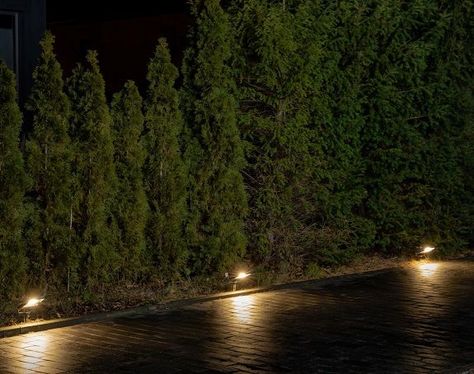 In search for outdoor lighting solutions? There are numerous reasons why you should switch to LED lighting, both indoors and outdoors. 🔦 Garden Spotlights, Outdoor Flood Lights, Old Lights, Led Flood Lights, Outdoor Light Fixtures, Flood Light, Sustainable Lifestyle, Flood Lights, Landscape Lighting