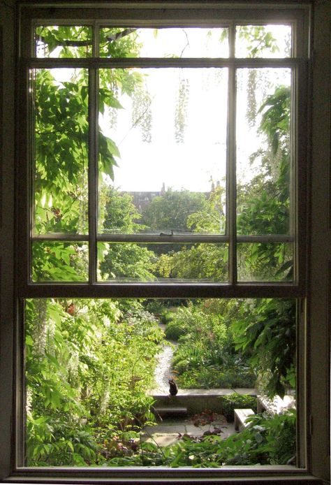 Contemporary Designers’ Own Gardens Garden Outside Window, Window Overlooking Garden, Trees Outside Window, Garden Through Window, Garden View From Window, Window View Garden, Window Landscape, Dan Pearson, Window House