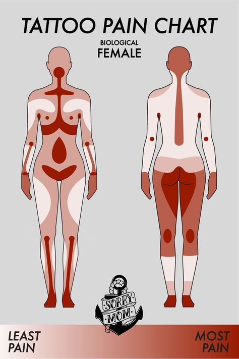 Tattoo Pain Chart: Most Painful (and least) Places to Get a Tattoo - Female Body Places On Body For Tattoos, Borderless Tattoos, Painless Tattoo Placement, Tattoo Area Ideas, Painful Tattoo Areas Charts, Best Place To Get A Tattoo For Women, Best Places To Get A Tattoo For Women, Best Place For Tattoo Woman, Tattoo Painful Chart Women