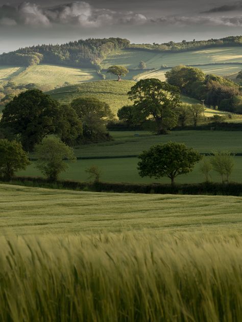 Belle Nature, Devon England, Alam Yang Indah, Rolling Hills, Alam Semula Jadi, English Countryside, Nature Aesthetic, Pretty Places, Green Aesthetic