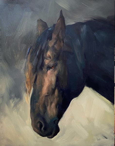 Jennifer Gennari, Horse Oil Painting, Animal Portraits Art, Equestrian Art, Art Promotion, Horse Portrait, Horse Drawings, Equine Art, Arte Fantasy