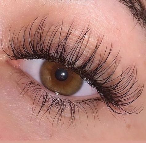 Natural Long Eyelashes, Big Eyelashes, Perfect Eyelashes, Pretty Lashes, Eyelash Serum, Lash Serum, Natural Eyelashes, Eyelash Growth, Beauty Goals