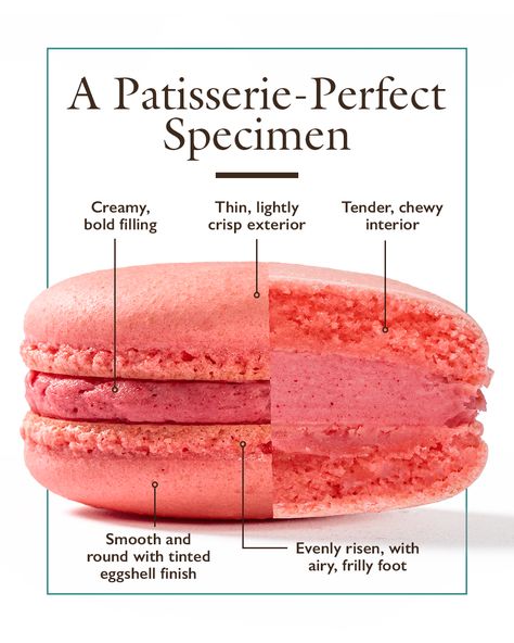 Macarons With All Purpose Flour, Basic Macaron Recipe, Macaron Italian Method, Coconut Macaroons Americas Test Kitchen, French Method Macarons, Making Macarons, Make Macarons, Passion Fruit Curd, Sandwich Cookie