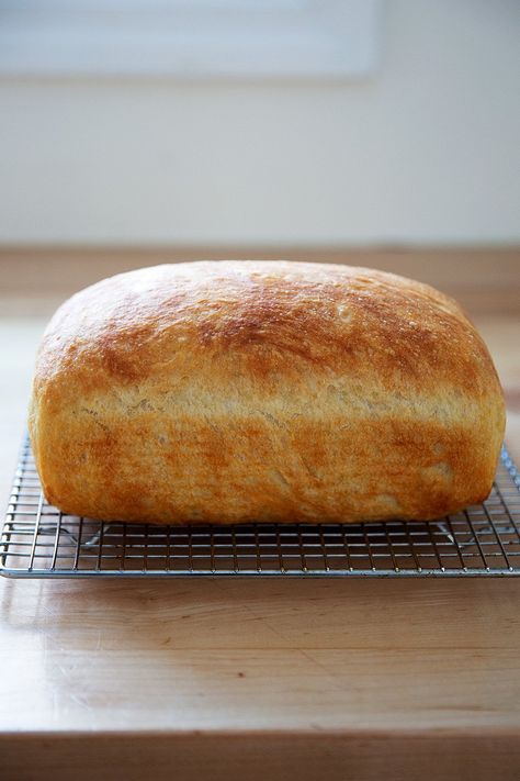 Found! Easy Same-Day Peasant Bread Recipe | Cup of Jo Essen, No Oil Bread Recipes, Peasent Bread, Peasant Bread Recipe, Condensed Milk Bread Recipe, Loaf Bread Recipe, Savory Baking, Peasant Bread, Beautiful Bread