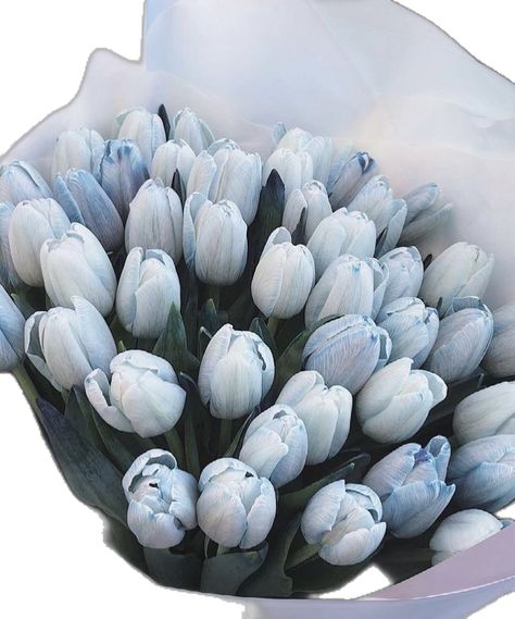 Cute Blue Wallpaper, Everything Is Blue, Baby Blue Aesthetic, Light Blue Aesthetic, The Color Blue, Blue Aesthetic Pastel, Blue Tulips, Ipad Wallpaper, White Aesthetic