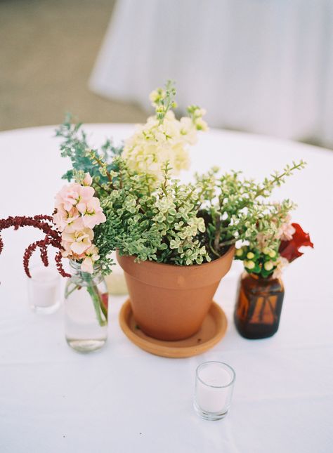 Potted Flowers Centerpieces, Potted Plants For Centerpieces, Plant Pot Centerpieces Wedding, Potted Plant Centerpieces Wedding Fall, Potted Plant Centerpieces Round Table, Plants Centerpieces, Potted Wildflowers, Potted Plants As Centerpieces, Clay Pot Centerpieces