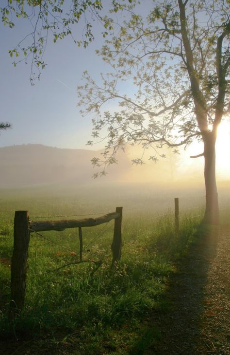 Cades Cove Tennessee, Cades Cove, Misty Morning, Autumn Scenes, Great Smoky Mountains National Park, East Tennessee, Smoky Mountain National Park, Great Smoky Mountains, Gatlinburg