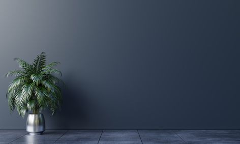 Dark background empty room with plants o... | Premium Photo #Freepik #photo Dark Zoom Backgrounds, Office Wall Background, Office Background Wallpaper, Virtual Background Zoom Room, Office Room Background, Room Wall Background, Home Decor Craft Ideas, Modern White Living Room, Moon Texture