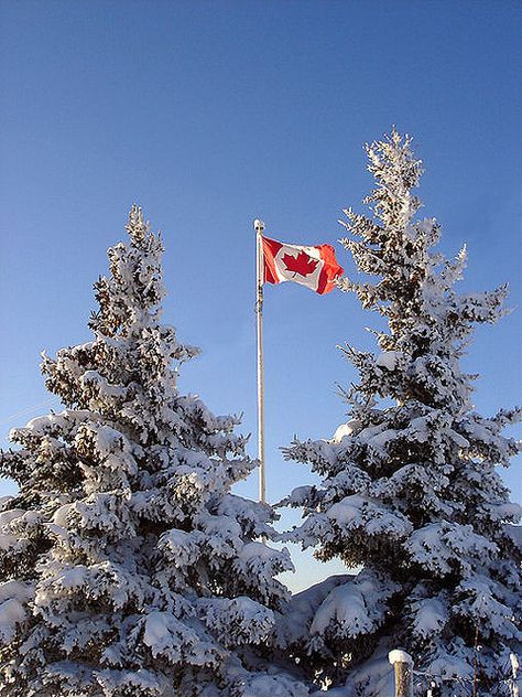 Christmas In Canada Aesthetic, Live In Canada Aesthetic, Living In Canada Aesthetic, Canada Wallpaper Aesthetic, Canada Astethic, Canada Photo Ideas, Travel Aesthetic Canada, Canada Vision Board, Canada Aesthetic Winter