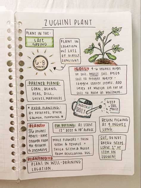 Garden Notebook Ideas, Plant Notes Aesthetic, Plant Notebook Ideas, Bujo Garden Planning, Garden Journal Ideas Inspiration, Gardening Journal Ideas, Plant Journal Ideas, Vegetable Garden Journal, Garden Journal Ideas