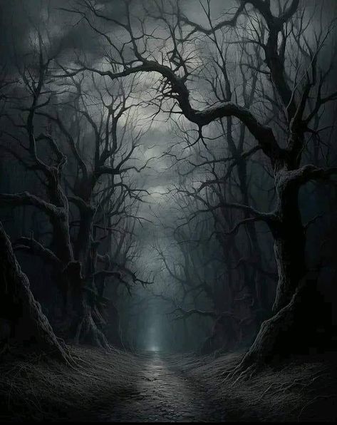 Black Scenery Aesthetic, Big Trees, In Between, Gothic Forest, Dark Forest Wallpaper, Dark Fantasy Forest, Dark Fantasy Landscape, Dark World, Scary Forest