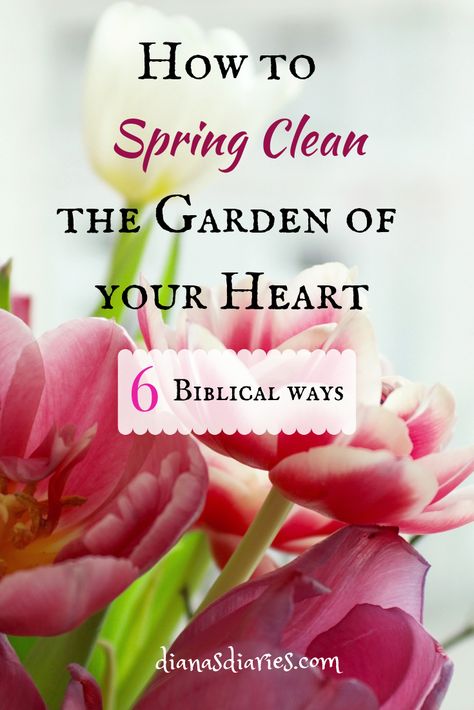 Don't we all eagerly await the arrival of spring? Cold winter can leave everything dry and feeling dead. Our hearts can grow cold if we do not make an effort to spring clean them. Here are 6 important ways from a Christian point of view on how to spring clean our heart. #springcleaning #heartcheck #DianasDiaries April Devotions For Women, Spring Womens Ministry Ideas, Christian Womens Retreat Ideas, Spring Devotions For Women, Women Retreat, Womens Ministry Events, Christian Women's Ministry, Spring Social, Christian Homemaking