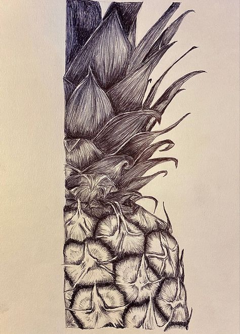 Fruit sketch in pen 
Pen art Pineapple Ink Drawing, Natural Forms Pencil Drawing, Rough Texture Drawing, Fruit Texture Drawing, Surfaces Art Gcse, Natural Forms Drawings Gcse Art, A3 Paper Drawings, Fruit Pen Drawing, Food Pencil Drawings