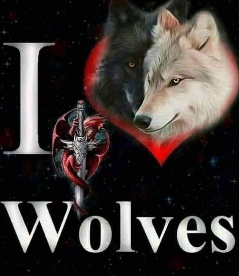 Lovers Society, Alpha Wolf, Wolf Quotes, Arte Alien, Wolf Photos, Wolf Spirit Animal, Wolf Pictures, Wolf Spirit, Beautiful Wolves