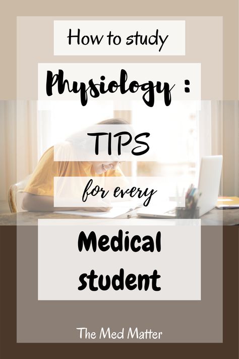 Studying physiology involves understanding a lot of concepts. Wondering how? Let's read this post and find out! How To Study Physiology, Microbiology Study Tips, Study Physiology, Anatomy And Physiology Study Tips, Physiology Study Tips, Guyton Physiology, Anatomy And Physiology Notes Study, How To Study Anatomy, Physiology Notes