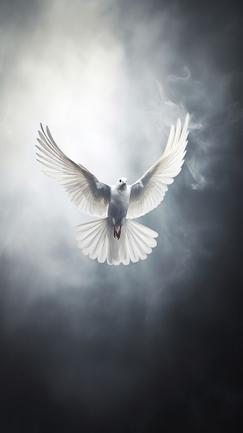 Beautiful flying bird long wavy | Premium Photo - rawpixel Doves Flying, Dove In Flight, Flying Photography, Painting Techniques Art, Flying Dove, Dove Flying, Persian Warrior, Bible Artwork, Christian Illustration