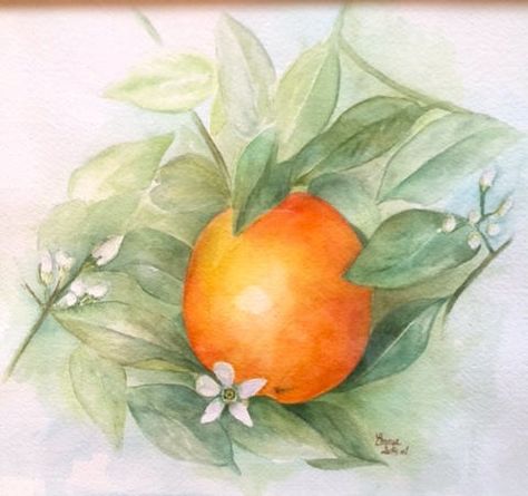 Orange Blossom (Watercolor) Orange Tree Branch, Kitchen Clipart, Branch Art, Tree Clipart, Orange Tree, Project Nursery, Watercolor Flower, Art Clipart, Tree Branch