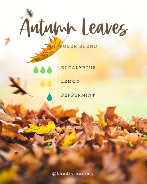 Fall Air Diffuser Blend, Good Vibes Essential Oil Blend, Fresh Fall Diffuser Blends, Rainy Fall Diffuser Blend, Clean Room Diffuser Blend, September Diffuser Blends Young Living, Aroma Diffuser Essential Oils, October Essential Oil Blends, Autumn Oil Diffuser Blends