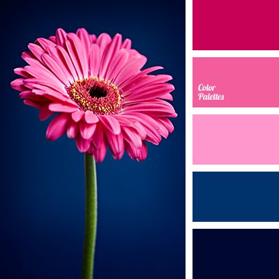 Bright pink and contrasting dark blue will create an extraordinary play of light if you use them in kitchen decor. Also, this palette is suitable for livin. Flat Bedroom, Color Generator, Color Schemes Colour Palettes, Color Palette Pink, Color Palate, Color Palette Design, Color Balance, Living Room Bathroom, Alam Yang Indah