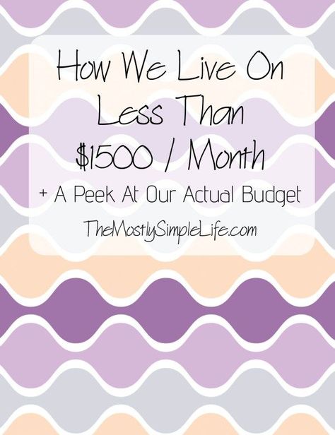 How We Live On Less Than $1500 A Month + A Peek At Our Budget Live On Less, Living On A Budget, Budget Spreadsheet, Budget Planer, Budget Saving, Budget Printables, Dave Ramsey, After Life, Monthly Budget