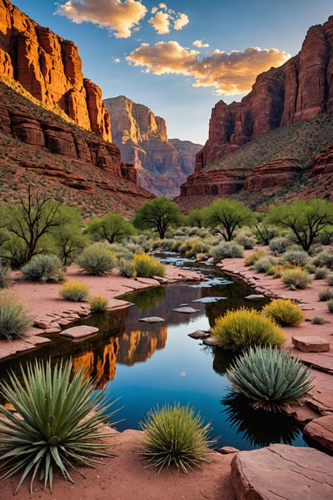 Discover the Top 7 Outdoor Activities in Arizona! Arizona Desert Aesthetic, Western Nature, America Nature, Grand Canyon Pictures, Desert Landscape Art, Desert Canyon, Desert Scenery, Grand Canyon Arizona, Western Landscape