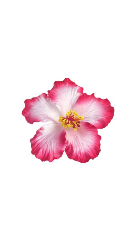 Hibiscus flower Flower Lockscreen, Minimalist Wallpaper Phone, Cute Summer Wallpapers, Improve Gut Health, Flower Icons, Hormone Balance, Nothing But Flowers, Matching Wallpaper, Flower Therapy