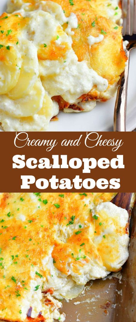 Scalloped potatoes recipe makes the ultimate comfort food. Make this recipe for creamy, cheesy, thinly sliced potatoes, baked in rich cream sauce. So creamy, so cheesy, everyone's favorite side dish for holiday dinner or any other night. #potatoes #sidedish #cheesy #creamy #scallopedpotatoes #potatocasserole #casserole Scalloped Potatoes With Cream, The Best Scalloped Potatoes, Cheesy Potato Side Dishes, Scallop Potatoes, Cheesy Scalloped Potatoes Recipe, Easy Scalloped Potatoes Recipe, Best Scalloped Potatoes, Creamy Scalloped Potatoes, Cream Cheese Potatoes