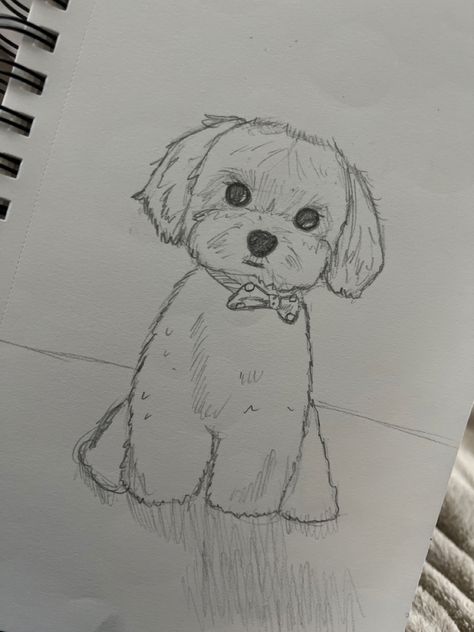 Puppy Sketch Easy, Puppy Drawing Sketches, Silly Dog Drawing, Sketch Ideas Animals, How To Draw A Dog, Drawing Ideas Dog, Dog Sketch Easy, Puppy Drawings, Drawing Of A Dog