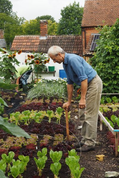 Home Small Garden, Small Garden Flowers, Small Kitchen Garden, No Dig Garden, Biointensive Gardening, Charles Dowding, Garden People, Common Garden Plants, Garden Vase