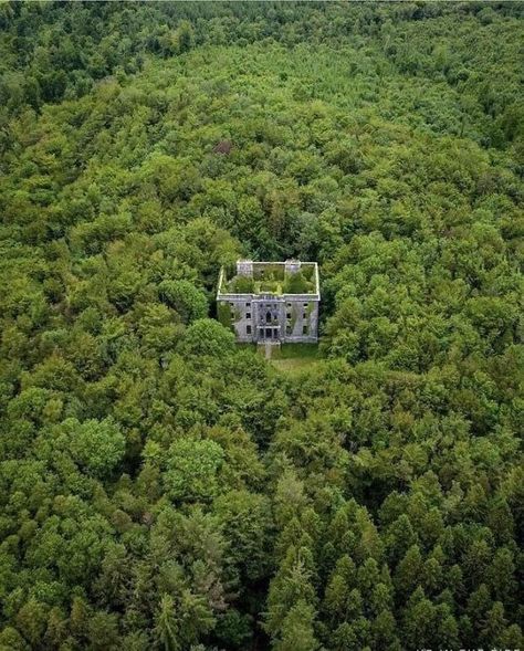 An Abandoned Mansion In The Irish Forests Abandoned Houses, Bic Ballpoint Pen, Ballpoint Pen Drawing, Pen Drawing, Back In The Day, Ballpoint Pen, New Image, Creating Art, In The Middle