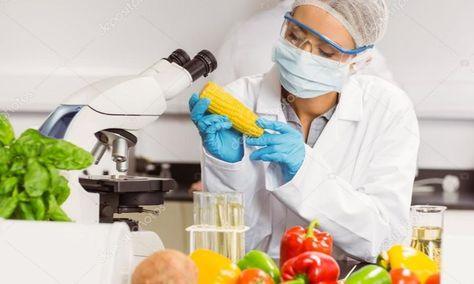 Food Product Development, Food Sampling, Food Safety Training, Canada Food, Safety Management System, Food Technology, Food Scientist, Hygienic Food, Food Science